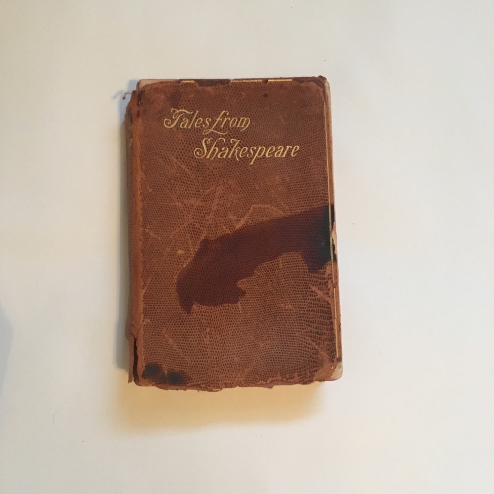 🥀 SHAKESPEARE 🥀 1781 Copy